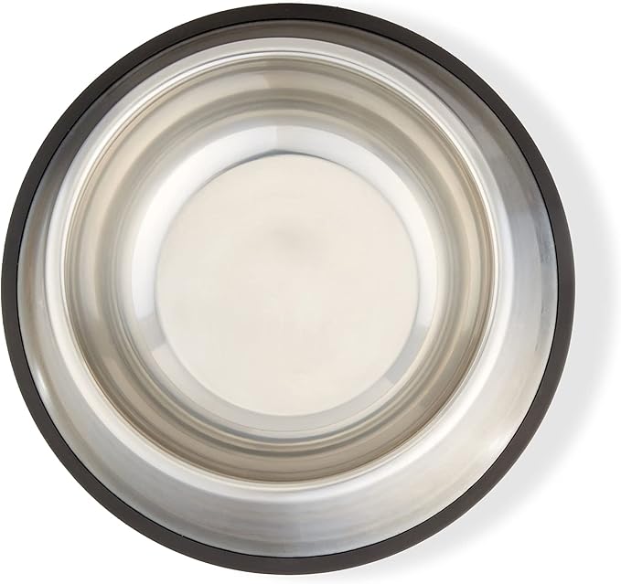 Stainless Steel Non-Skid Pet Dog Water And Food Bowl, 2-Pack (10 x 2.8 Inches), Each Holds Up to 4 Cups
