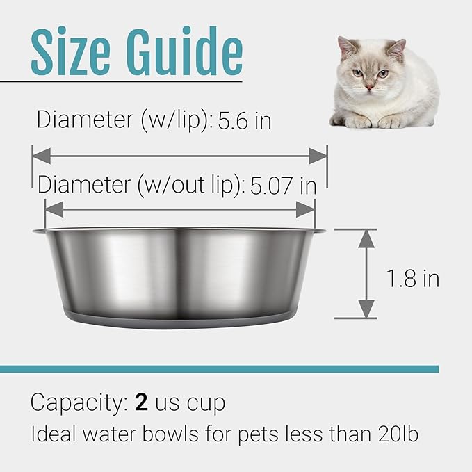 Nonslip Stainless Steel Dog Cat Bowls, 2  Cup, 2 Count