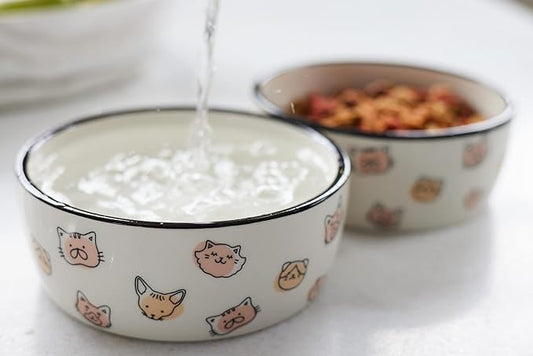 Cat Faces Pattern Ceramic Pet Bowl, Holds 2 Cups, Medium Water and Food Dish, Microwave and Dishwasher Safe