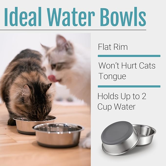 Nonslip Stainless Steel Dog Cat Bowls, 2  Cup, 2 Count