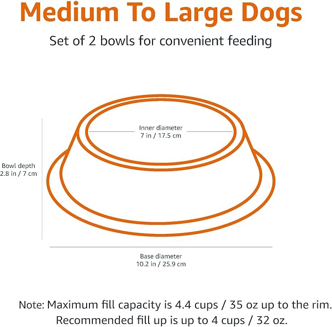 Stainless Steel Non-Skid Pet Dog Water And Food Bowl, 2-Pack (10 x 2.8 Inches), Each Holds Up to 4 Cups