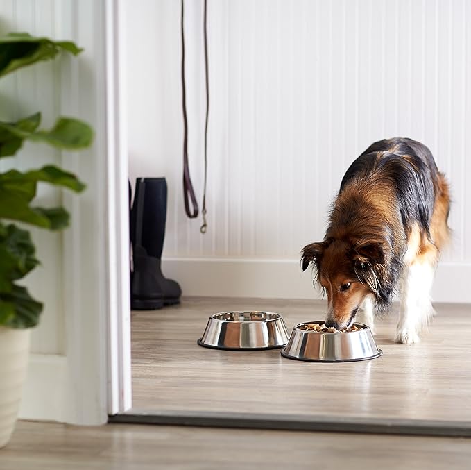 Stainless Steel Non-Skid Pet Dog Water And Food Bowl, 2-Pack (10 x 2.8 Inches), Each Holds Up to 4 Cups